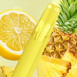 Taste Boosted DASH Lemon Pineapple – Price Guide [strict-source:31429c8f3b559b64]