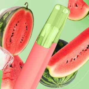 Taste Boosted DASH Lush Ice – Price Guide [strict-source:4497149c255b6e20]