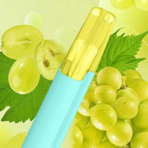 Taste Boosted DASH Green Grape – Price Guide [strict-source:e1148689f88360dc]