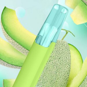 Taste Boosted DASH Sweet Honeydew – Price Guide [strict-source:90f019055f3123f5]