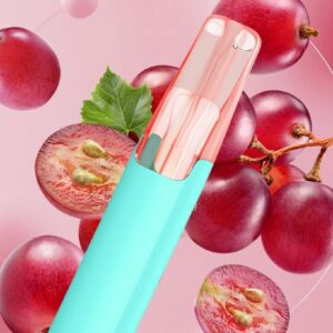 Taste Boosted DASH Tangy Grape – Price Guide [strict-source:69eb242397098446]